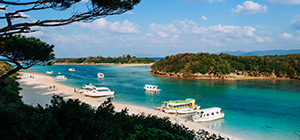 Special offer to Okinawa. Click here to learn more